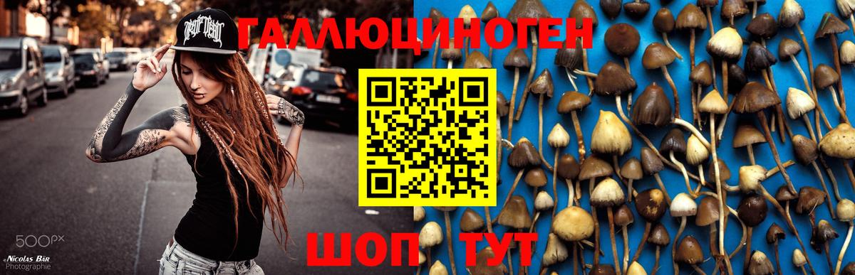 Ивантеевка  Галлюциногенные грибы GOLDEN TEACHER  купить  цена  Галлюциногенные грибы мицелий  Вход с VPN 